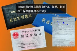 汽车保险的免费保单使用指南