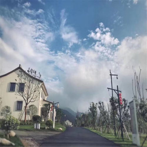 汽车排放的必要性及费用分析