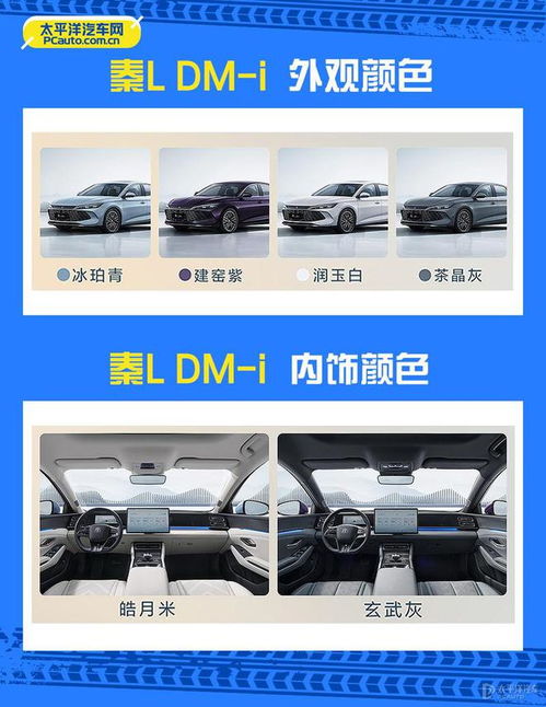 汕头汽车热板机的价格分析与购买指南