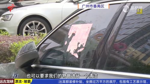汽车前挡风玻璃尺寸解析与选购指南